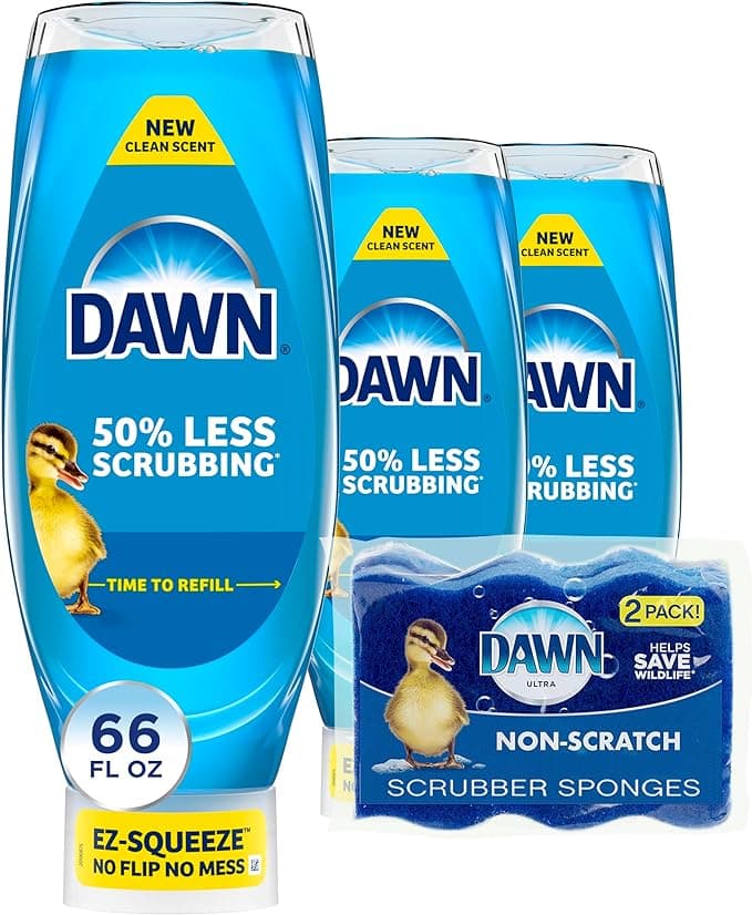 Dishwashing Liquid + Sponge